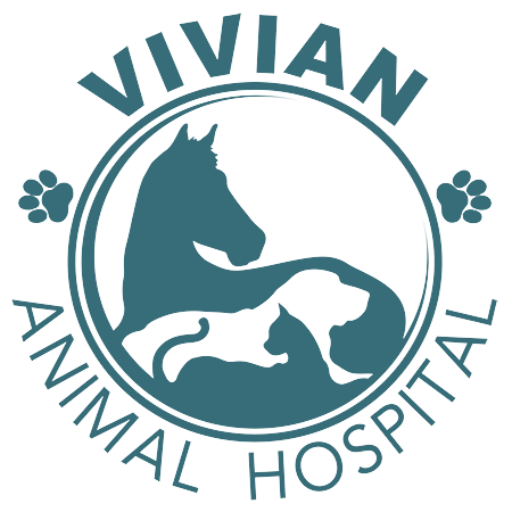 Veterinary Appointment In Vivian, LA 71082 Vivian Animal Hospital