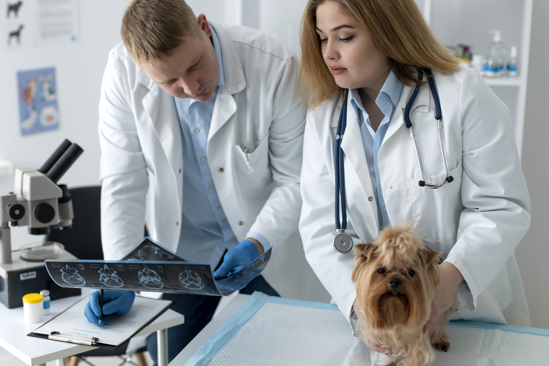 Pet Laboratory Testing In Vivian, LA 71082 | Vivian Animal Hospital